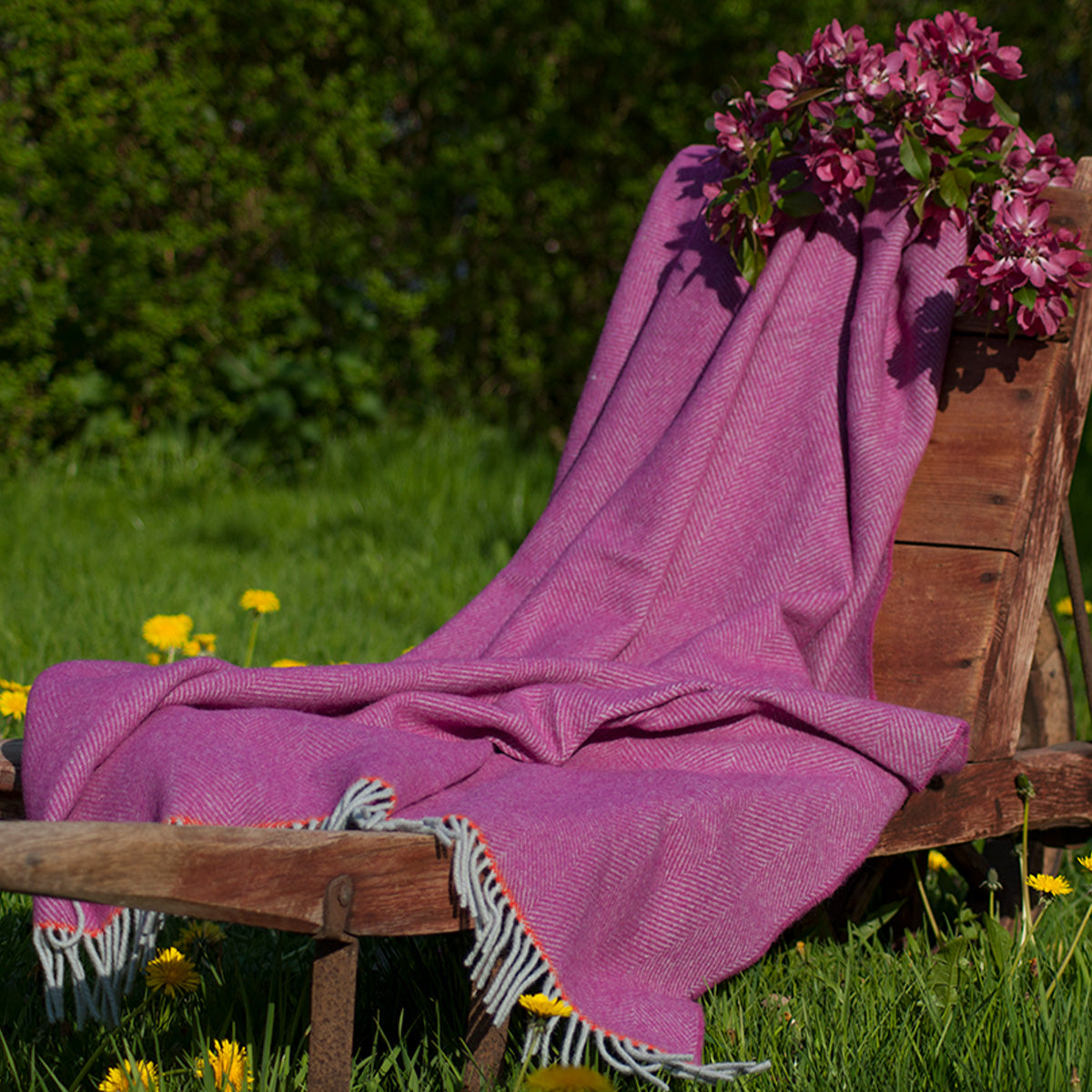 Schurwolldecke pink, Fischgrät – Die Wolldecke