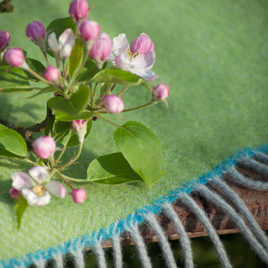 
                  
                    Schurwolldecke MADDIE
                  
                