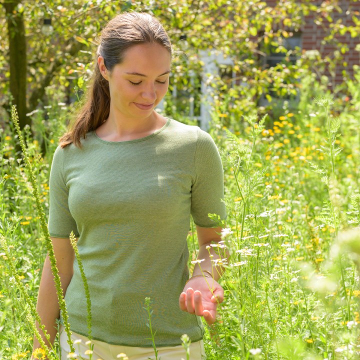 Geringeltes Kurzarm-Shirt aus 100% Bio-Baumwolle - Grün / Natur